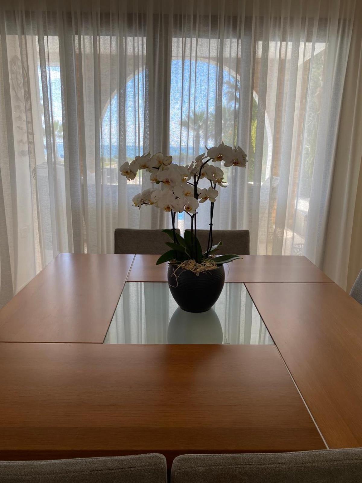 Ionion Beachfront Villa Ayia Napa Exterior photo