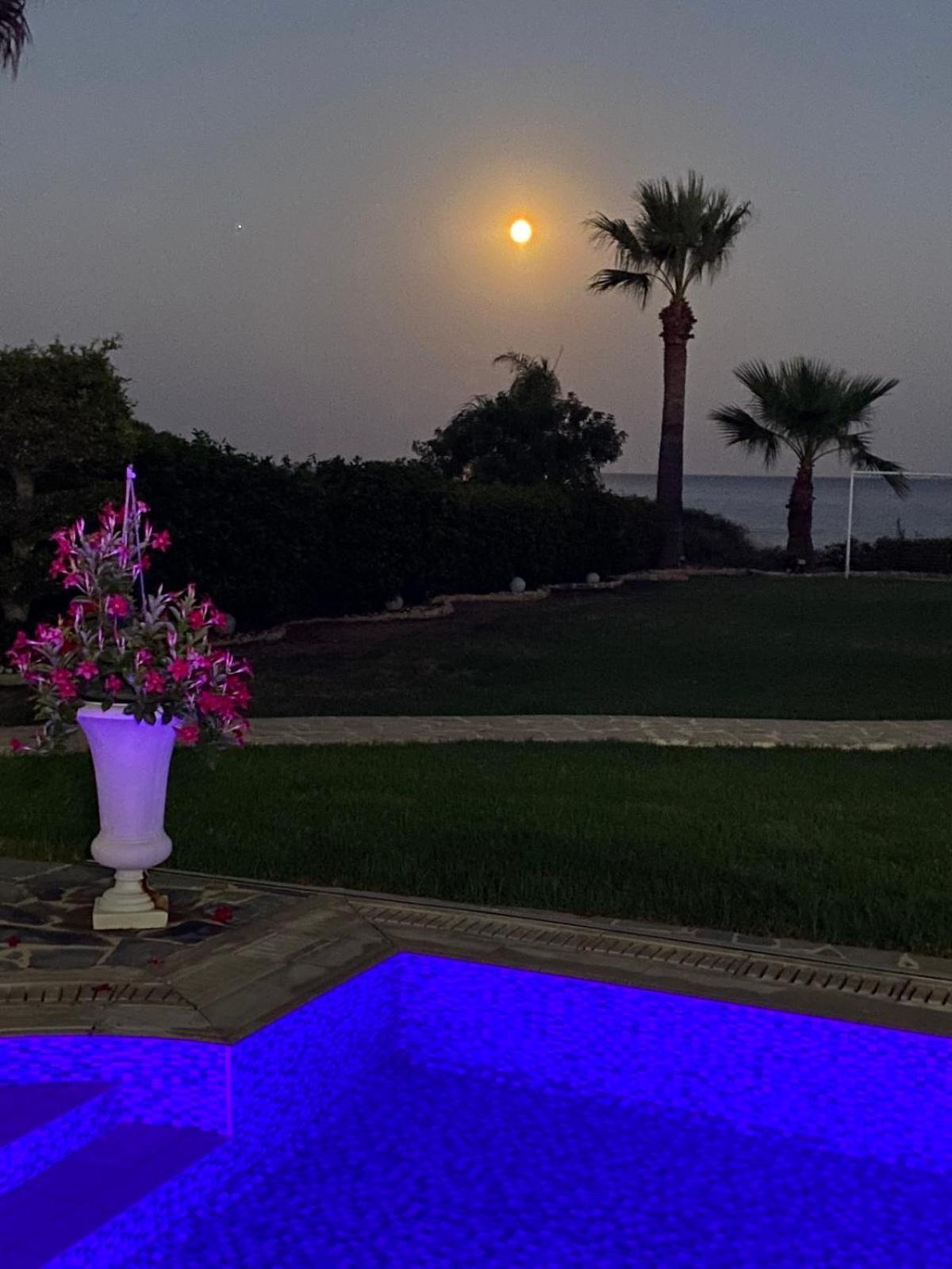 Ionion Beachfront Villa Ayia Napa Exterior photo